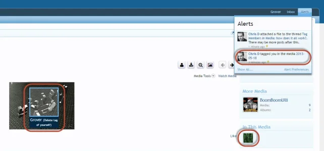 tag media notifications.webp