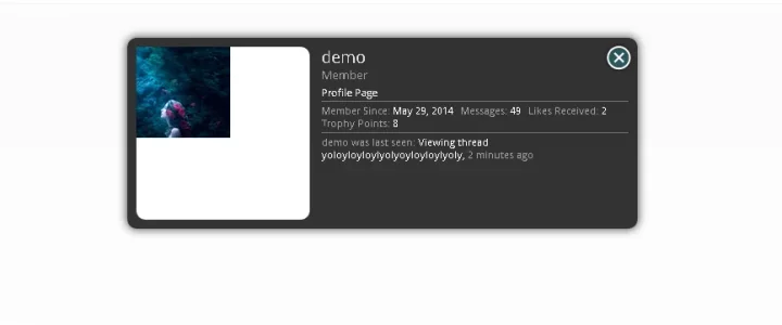 demo.webp
