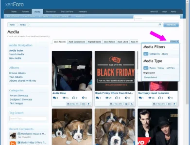 media_filters_type.webp