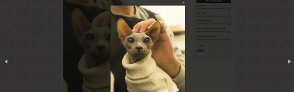 Screen Shot 2014-11-29 at 7.15.13 AM.webp