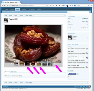 viewing_album_picture.webp
