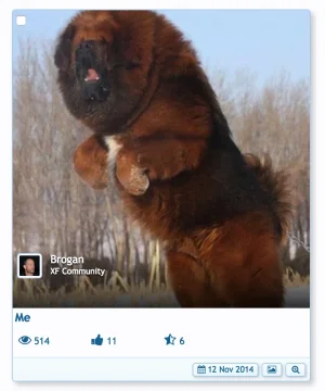 Screen Shot 2014-12-01 at 3.28.13 PM.webp