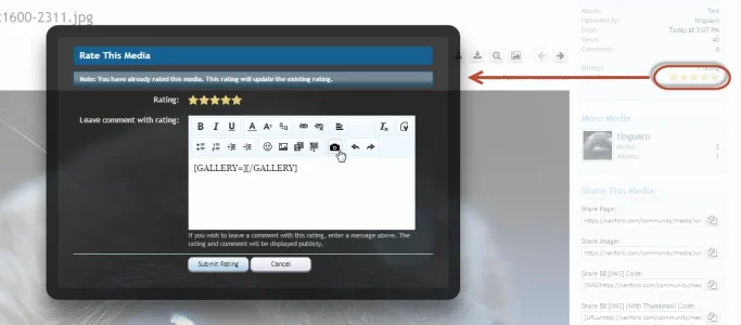 Media Embed does not work in rating dialogue.webp