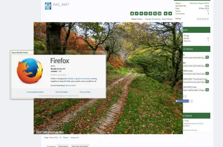 Capture3.webp