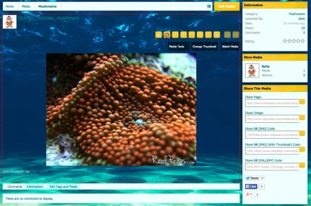 Screen Shot 2014-12-17 at 2.41.15 PM.webp