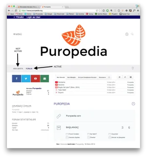 1.webp