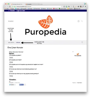 2.webp