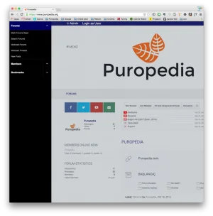 1.webp