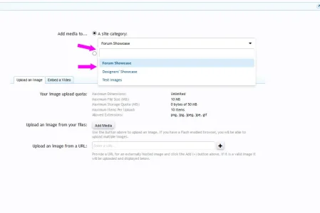 autofill_confusing.webp