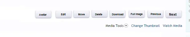 Capture.webp Capture.webp