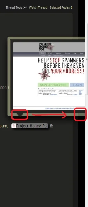 balloon arrow.webp