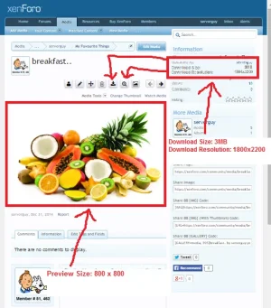 w) Preview and Download.webp