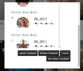 Album Thumbnails.webp