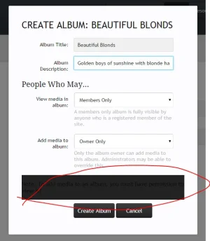 Create Album.webp