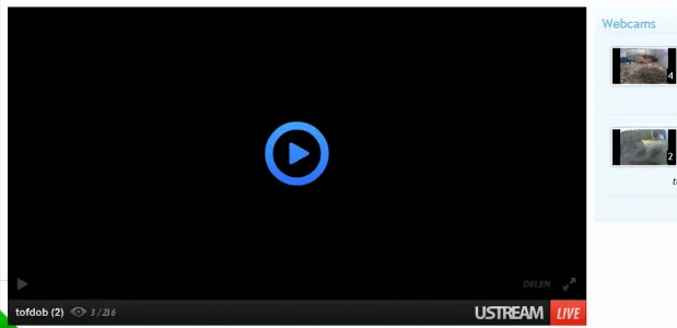 lives.webp