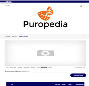 2.webp