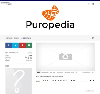 3.webp