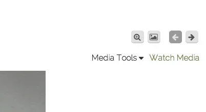 forum.webp