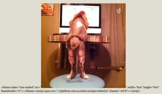 Screen Shot 2015-01-17 at 2.36.44 PM.webp