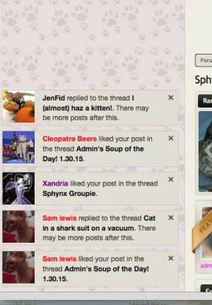 Screen Shot 2015-01-31 at 7.29.12 AM.webp