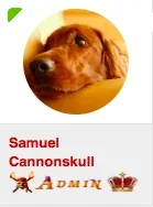 Screen Shot 2015-02-01 at 2.11.37 PM.webp