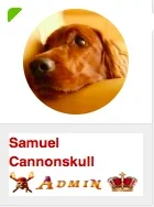 Screen Shot 2015-02-01 at 2.30.54 PM.webp