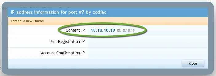 fake_ip_info.webp