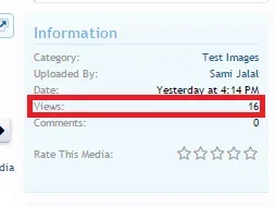 Media Views.webp