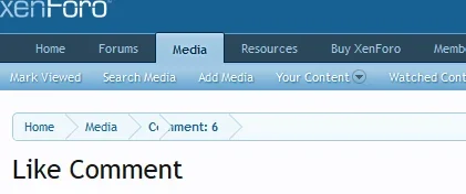 media_album_breadcrumb_undefined_like_url_error.webp