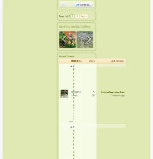 badformat.webp