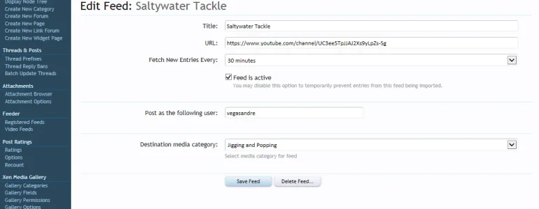 video feed.webp