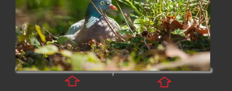 exif_behind_image_own_server.webp