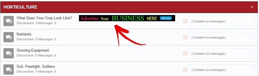 forum-view.webp