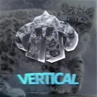 VerTical C#