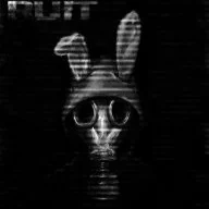 Ruit