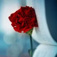 drmurad91