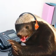 csgoant