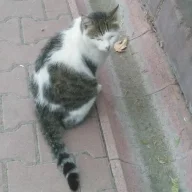EMREOYUN