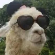 Llamaa
