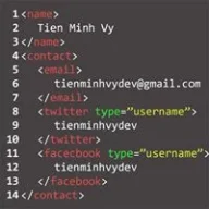 tienminhvydev