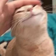 jowi