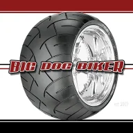 Big Dog Biker