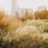 laxutraly