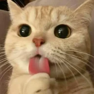 gantez