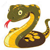 Pythonkrone4969