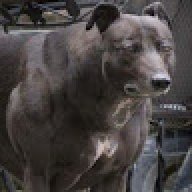 cynicalbilly