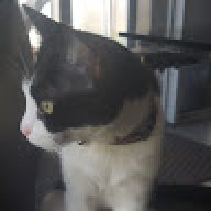Katastrophe