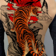 Tigertrasformer