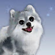 GoMO