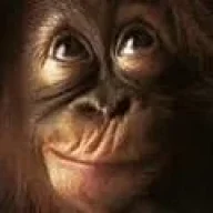 Jimsef